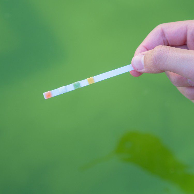 Water Filtration Services in Orange County, CA